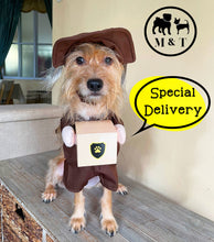 Courier Deliveryman Pet Costume