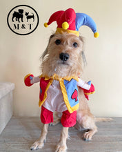 Jester Pet Costume