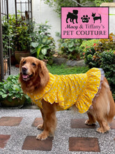 Yellow Daisy Dress for Large Big Dogs