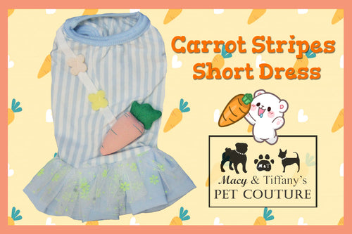 Carrot Stripes Short Pet Dress