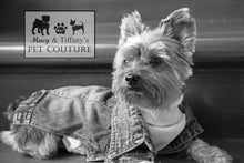 James Dean Inspired Pet Denim Jacket Outfit