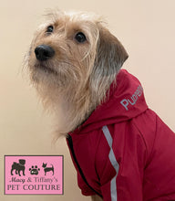 The Dog Face North Face Pet Jacket (Maroon)