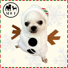 Christmas Snowman Pet Costume