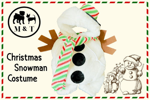 Christmas Snowman Pet Costume