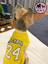 Lakers Jersey Shirt
