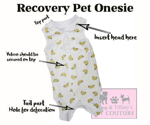 Recovery Pet Onesie Jumpsuit