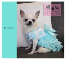 Tiffany Blue Pet Dress