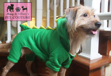 T-Rex Dinosaur Pet Onesie Costume